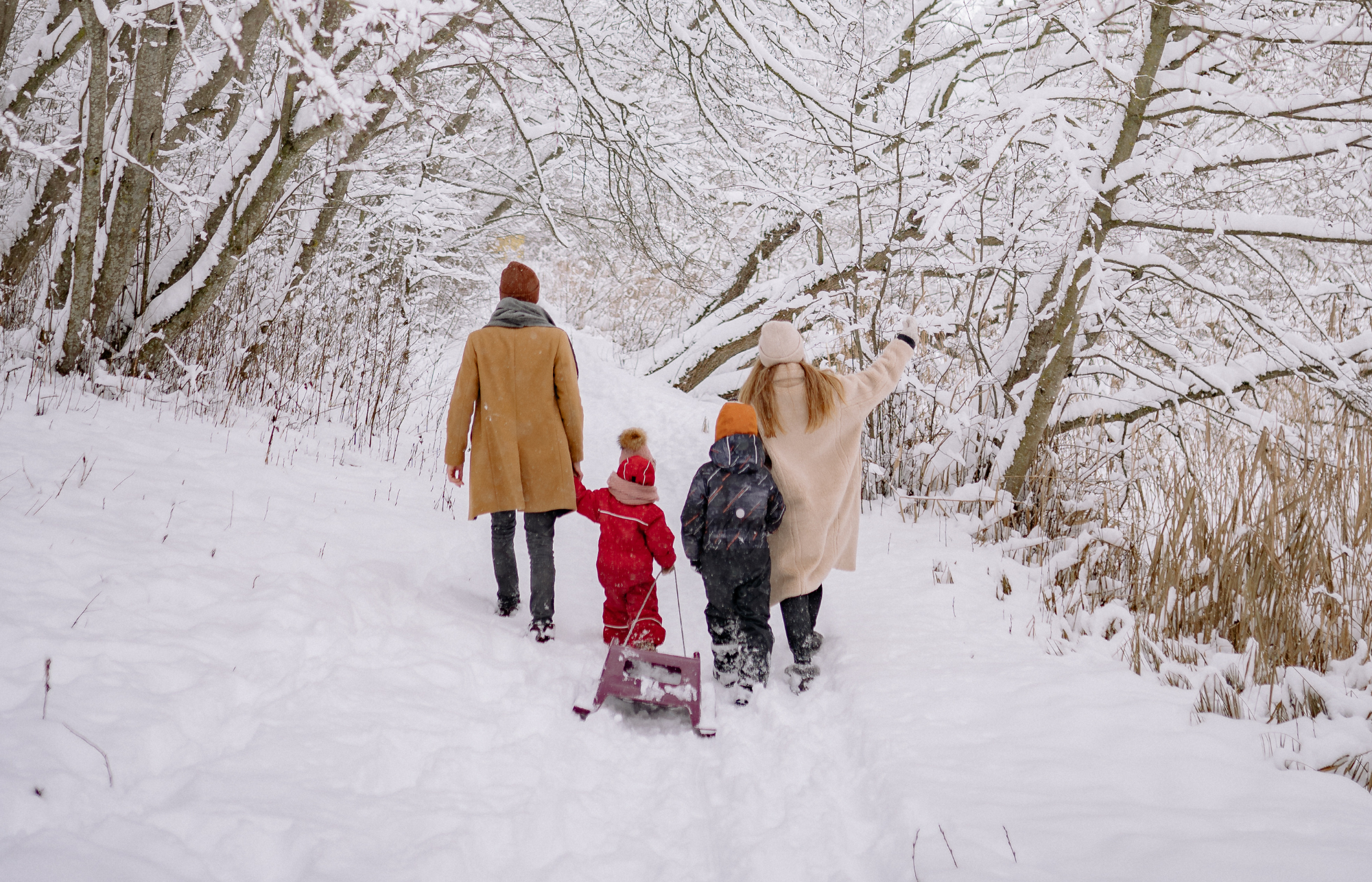 15 Two parents walking in the snowy woods with their two children.